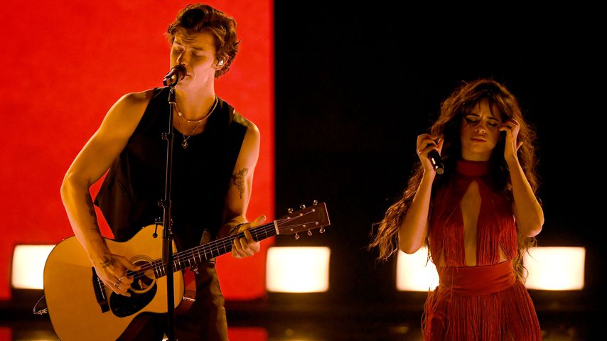 Shawn Mendes und Camila Cabello im November 2019