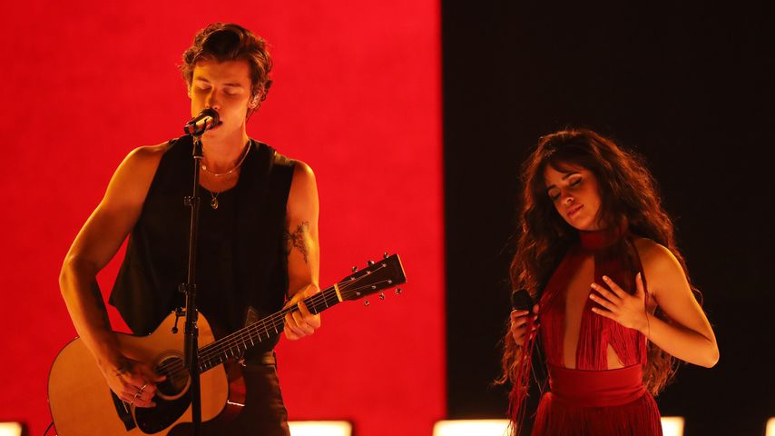 Shawn Mendes und Camila Cabello, Sänger