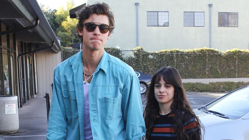 Shawn Mendes und Camila Cabello im November 2019