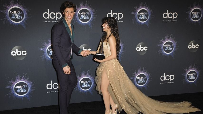Shawn Mendes und Camila Cabello, November 2019