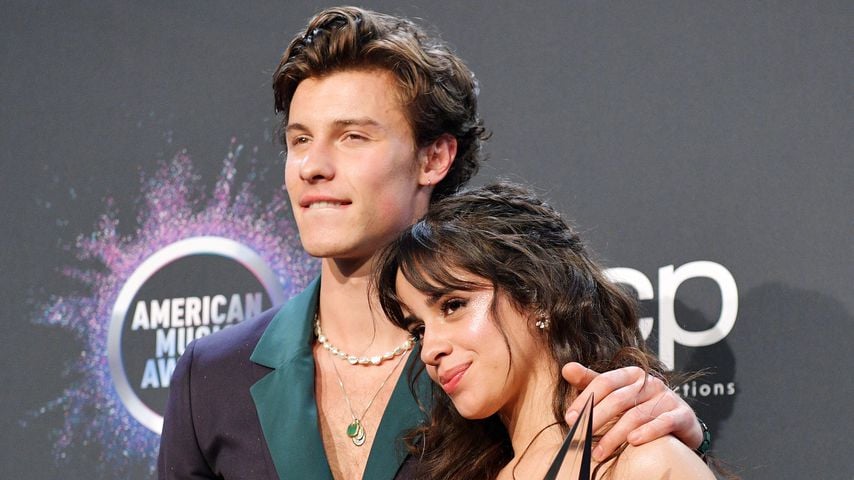 Shawn Mendes und Camila Cabello, Musiker