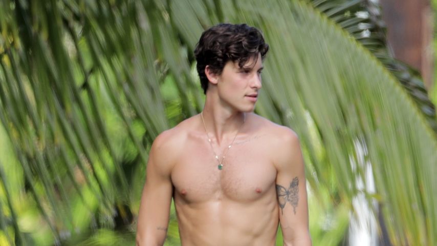 Shawn Mendes auf Hawaii, Februar 2022