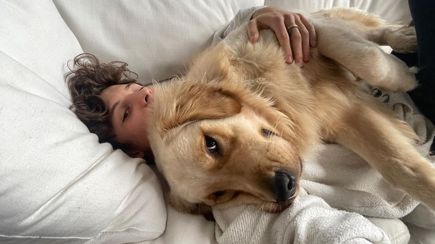 Shwan Mendes und ein Golden Retriever, 2021
