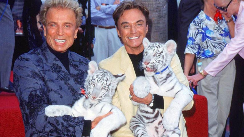 Geldnot: Film über Siegfried und Roy steht kurz vor dem Aus