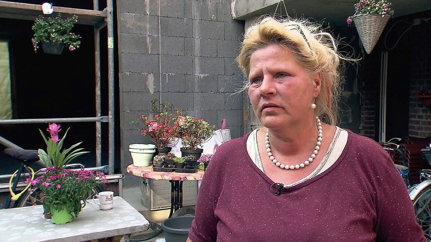 Silvia Wollny, TV-Star