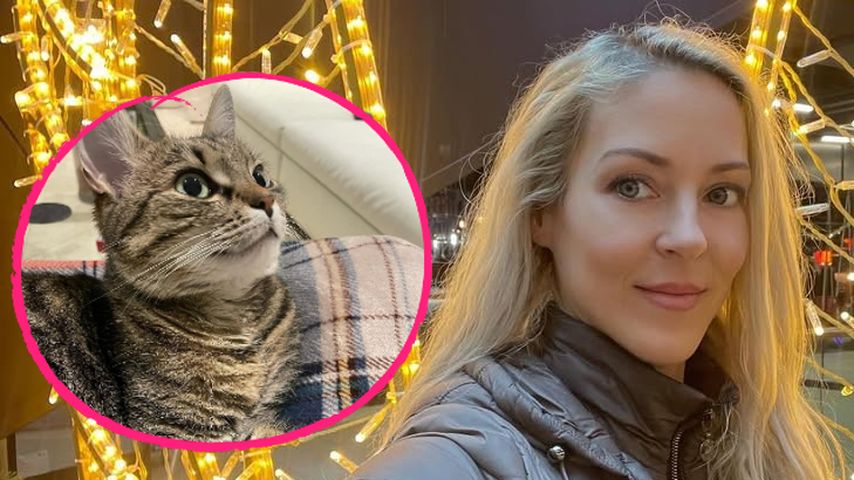 Simone Lugners Katze kommuniziert angeblich mit Richard (†)