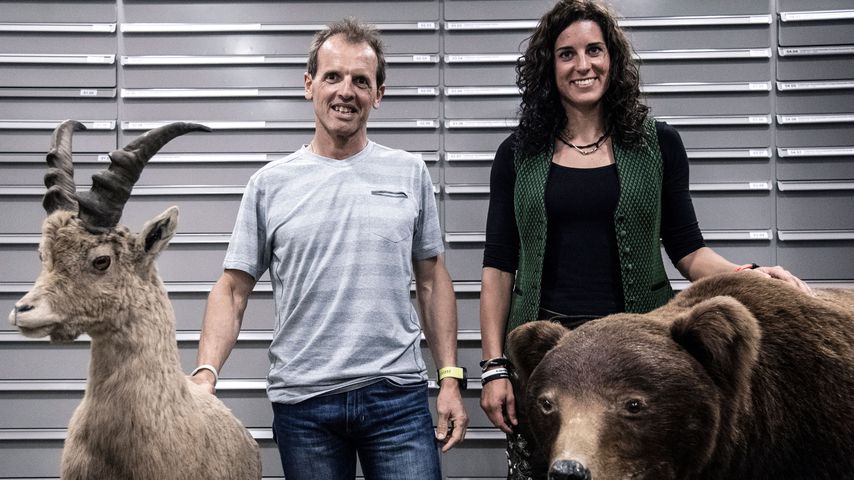 Fall in Gletscherspalte: Bergsteiger-Duo war in Lebensgefahr