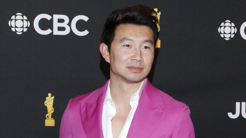 Simu Liu, Schauspieler