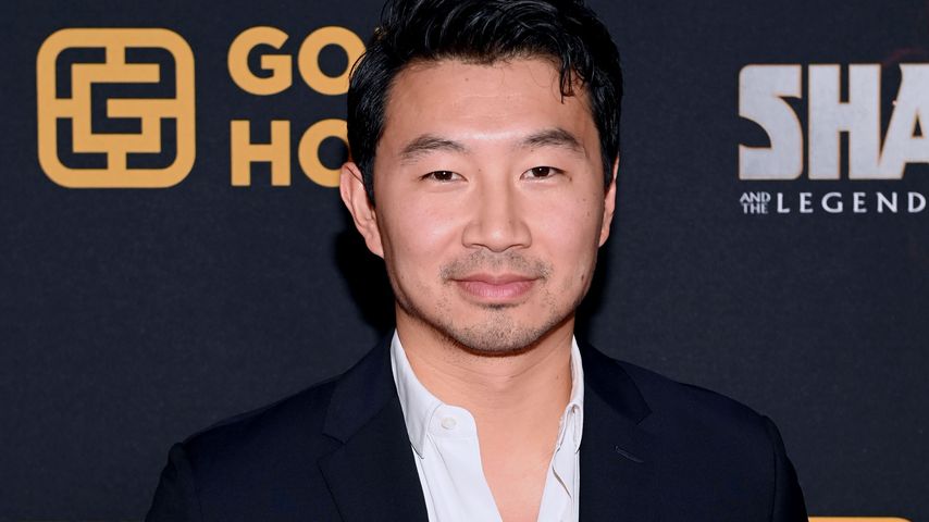 Simu Liu, Schauspieler