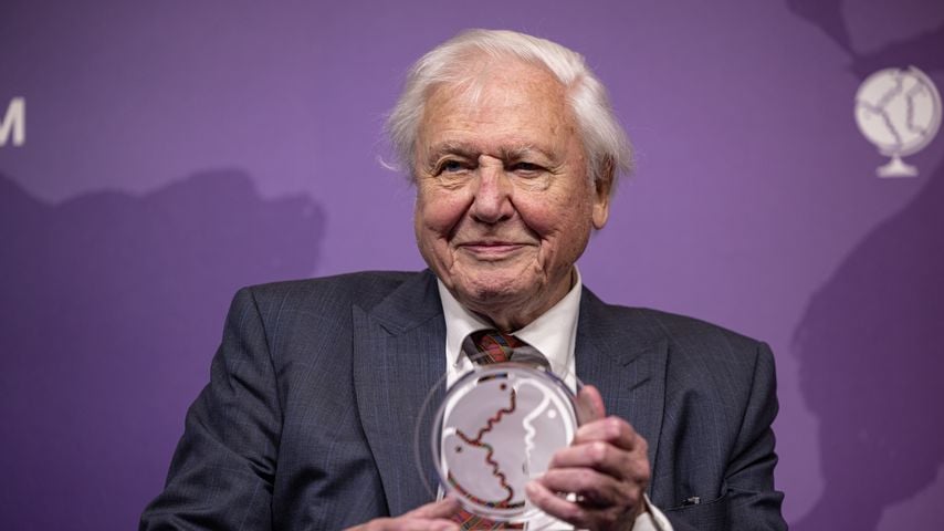 Sir David Attenborough feiert heute seinen 100. Geburtstag