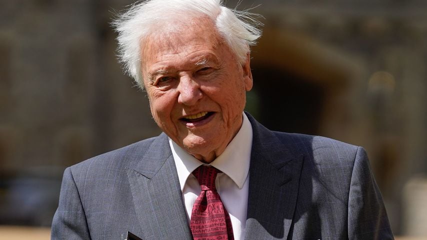 David Attenborough bei seltenem Auftritt vor 100. Geburtstag