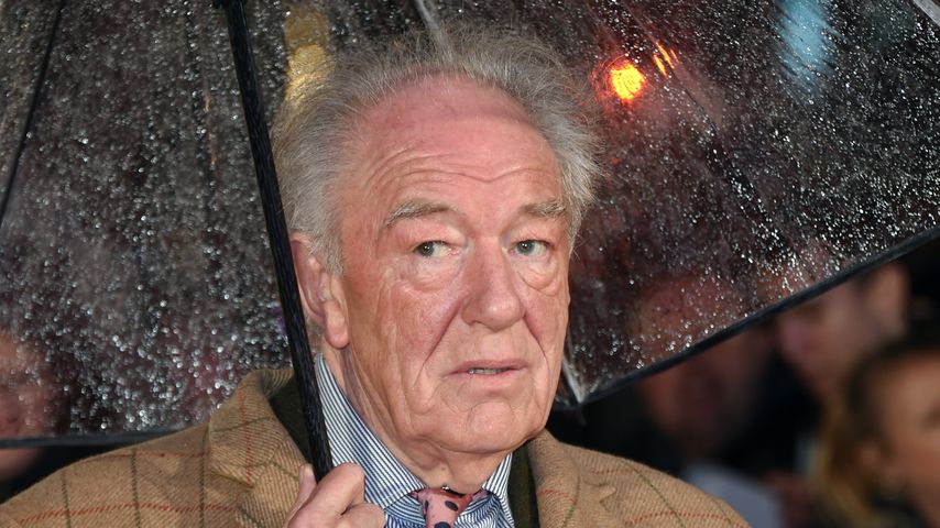 Sir Michael Gambon, Schauspieler
