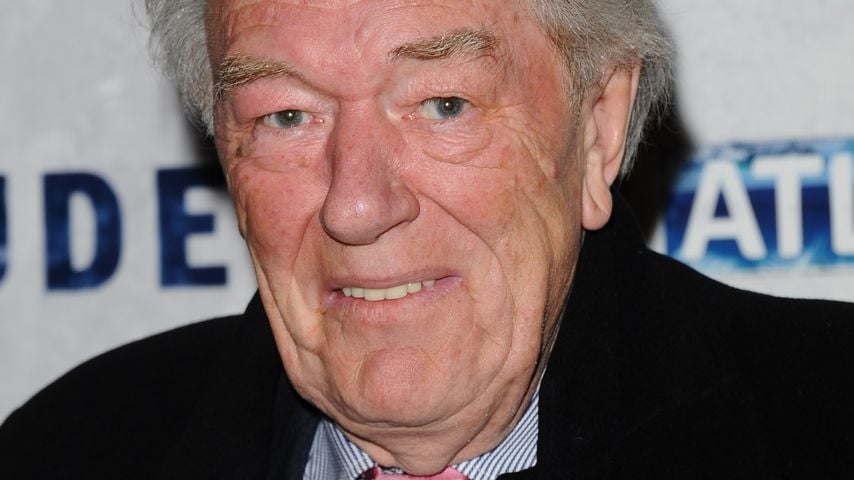 Sir Michael Gambon, Schauspieler