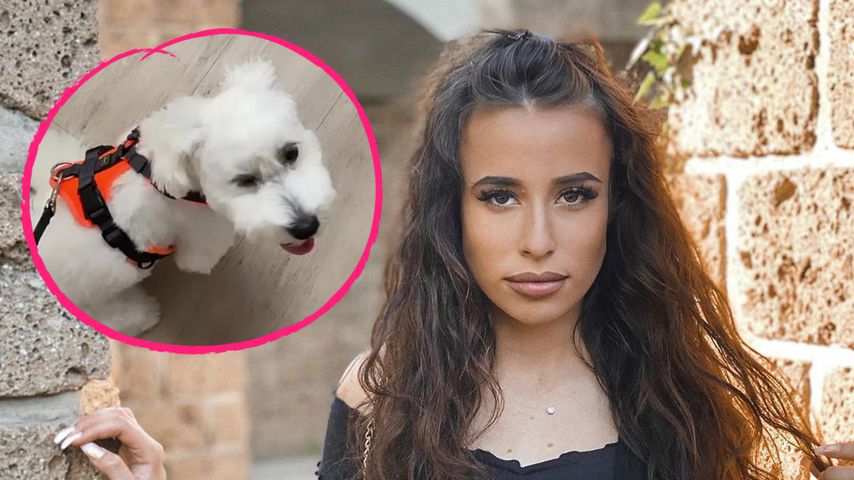 "Temptation Island"-Sirias Hund fraß ihre benutzte Unterhose