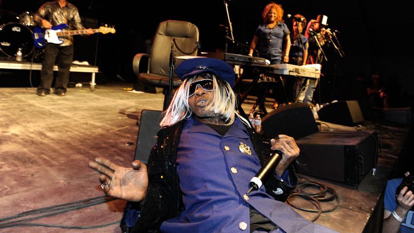 Sly Stone, Musiker