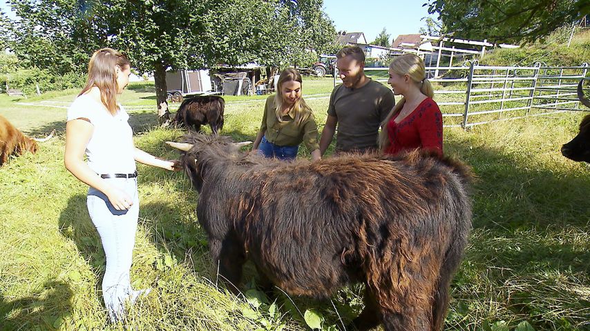 Sofia, Julia, Patrick und Julia, "Bauer sucht Frau"-Teilnehmer 2020
