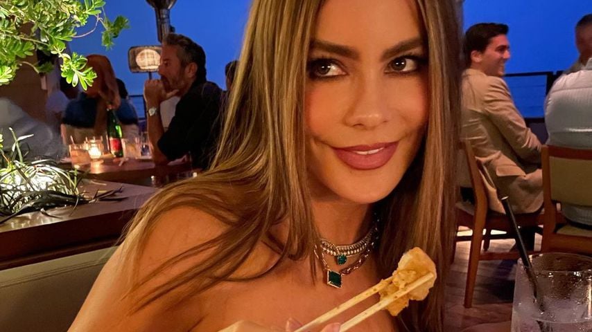 Sofia Vergara, Schauspielerin
