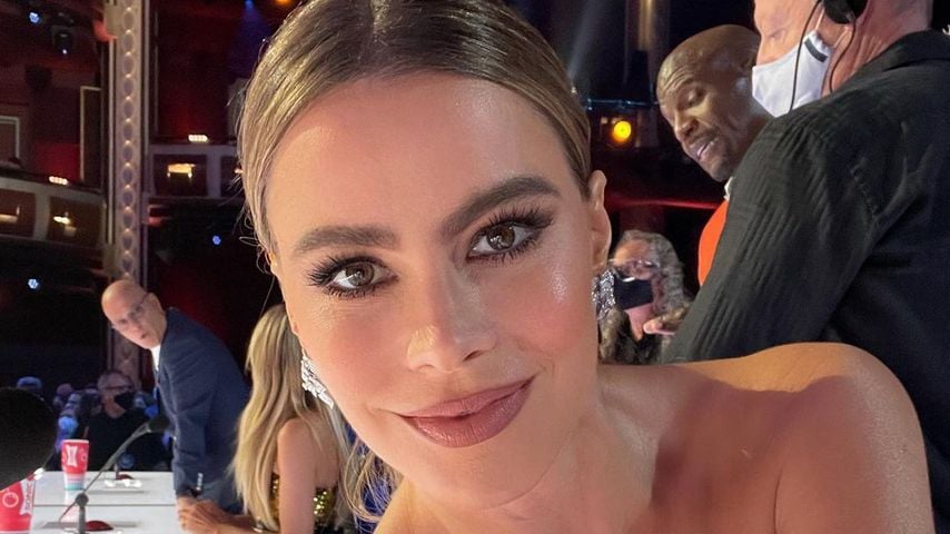 Sofia Vergara, Schauspielerin