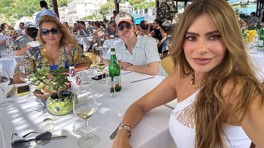 Sofia Vergara, Serienstar