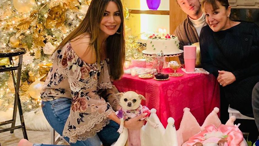 "Modern Family"-Star Sofia Vergara schmeißt Party für Hund