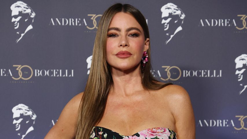 Sofía Vergara, Schauspielerin