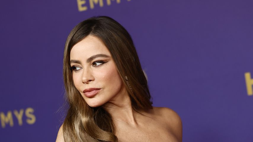 Sofía Vergara, Schauspielerin