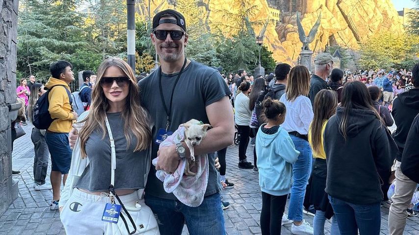 Fans belustigt: Sofia Vergaras Mann mit Hund im Themenpark