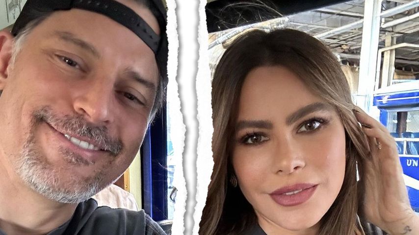Nach sieben Jahren Ehe: Sofia Vergara lässt sich scheiden
