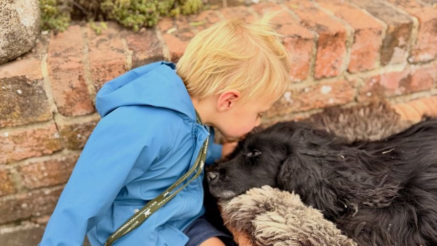James Middletons Sohn Inigo mit Hund Zulu, Oktober 2026