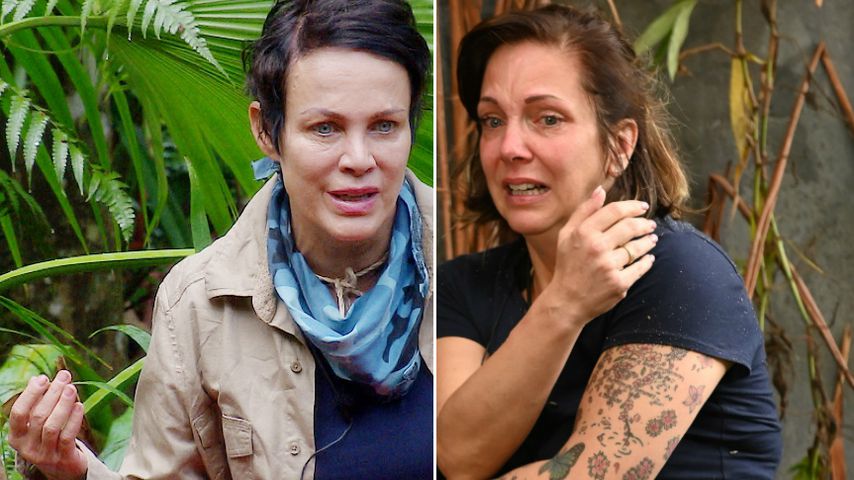 Ging Dschungel-Sonja mit Danni Büchner zu hart ins Gericht?