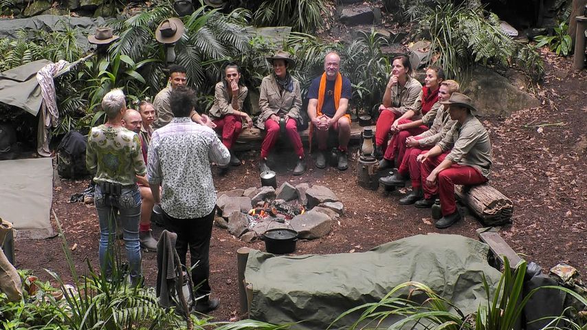 Fans einig: Dieser Promi soll Dschungelcamp heute verlassen!