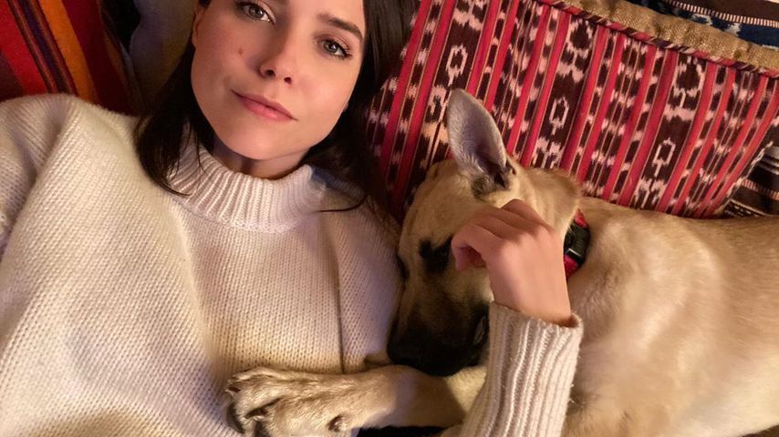 Sophia Bush mit ihrem Hund im März 2020