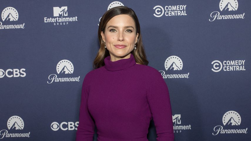 Sophia Bush, Schauspielerin