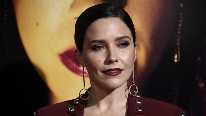 Rührende Worte: Sophia Bush trauert um ihren geliebten Hund