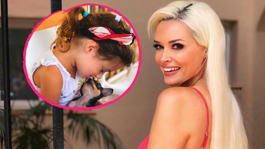 Wegen Hunde-Pic: Daniela Katzenberger befürchtet Shitstorm!