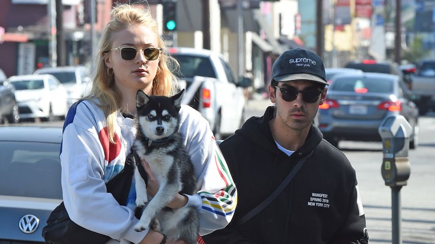 Mit Hund im Frack: So schön war Sophie & Joe Jonas' Hochzeit