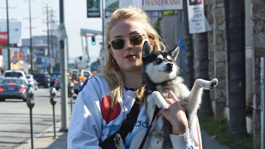 Sophie Turner und ihr Hund Porky in West Hollywood