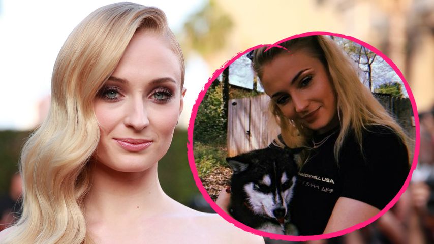 Nach Tod von Hund Waldo: Sophie Turner in Tränen aufgelöst!