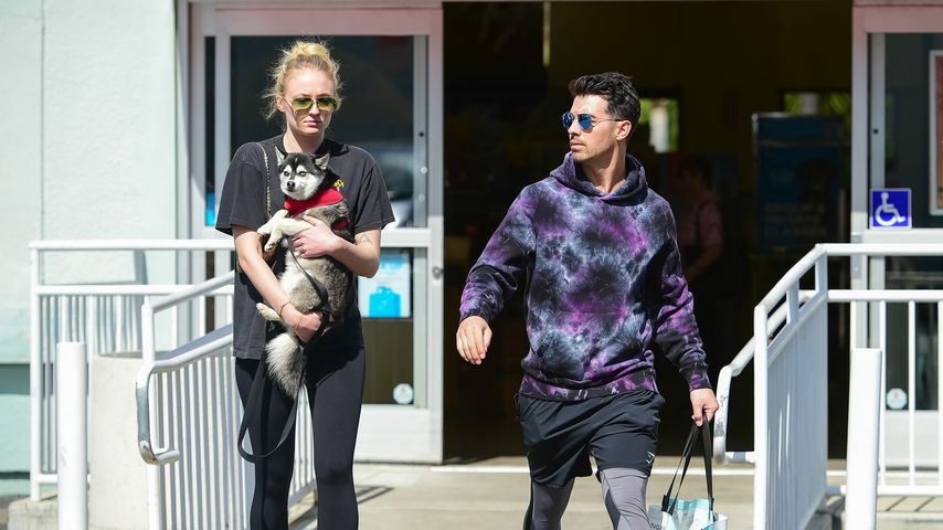 Versteckt Sophie Turner ihren Babybauch hinter einem Hund?