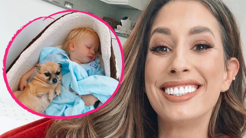 Wie süß! Stacey Solomons Sohn Rex schlummert im Hundekorb