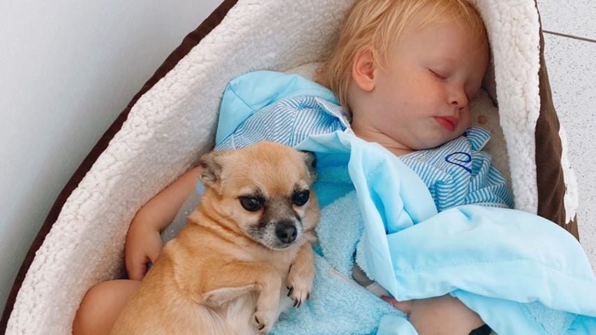 Stacey Solomons Sohn Rex und Hund Theo