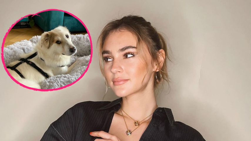 Stefanie Giesinger hat einen neuen Hund: Gestatten, Heinzi!