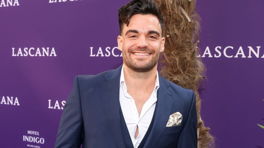 Stefano Zarrella, Influencer