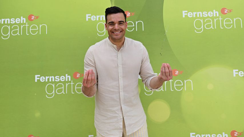 Stefano Zarrella, Influencer