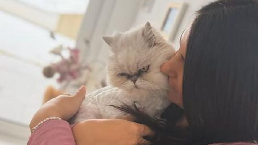 Schwangere Stephanie Venier, Ski-Weltmeisterin