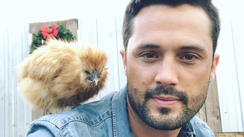 Stephen Colletti, Schauspieler