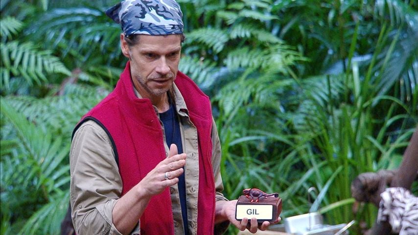 Stephen Dürr im Dschungelcamp 2026