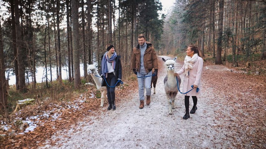 Stephie Stark, Niko Griesert und Karina Wagner bei einem Bachelor-Date