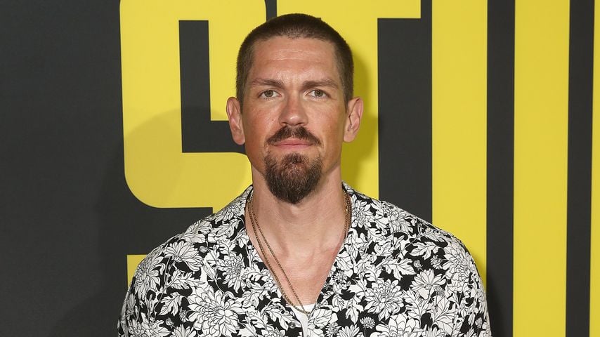 Steve Howey, Schauspieler