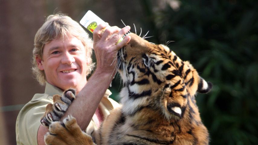 Steve Irwin, 2005